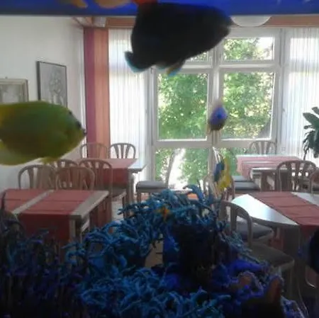 Zum Roessle Heilbronn